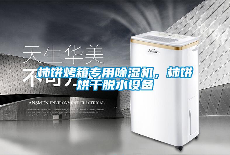 柿餅烤箱專用除濕機(jī)，柿餅烘干脫水設(shè)備