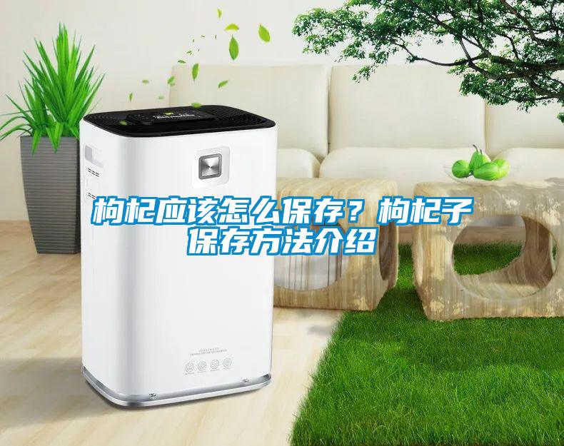 枸杞應(yīng)該怎么保存？枸杞子保存方法介紹