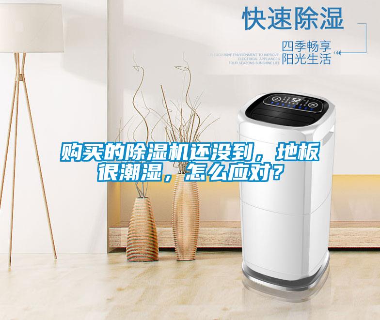 購(gòu)買的除濕機(jī)還沒到,地板很潮濕,怎么應(yīng)對(duì)?