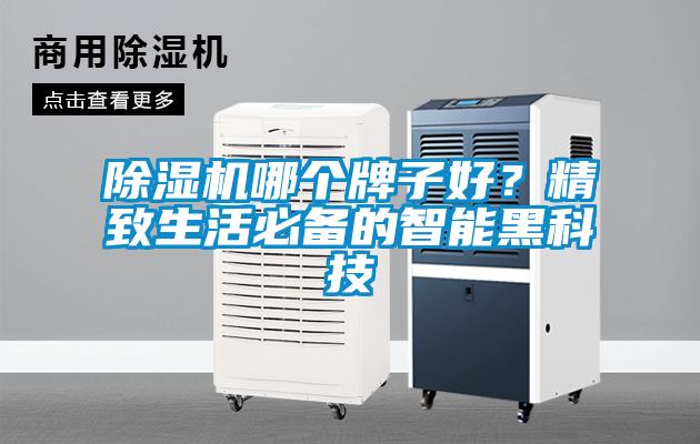 除濕機哪個牌子好？精致生活必備的智能黑科技
