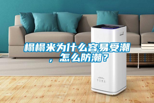 榻榻米為什么容易受潮，怎么防潮？
