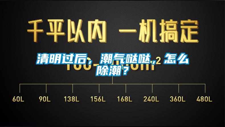 清明過(guò)后，潮氣噠噠，怎么除潮？