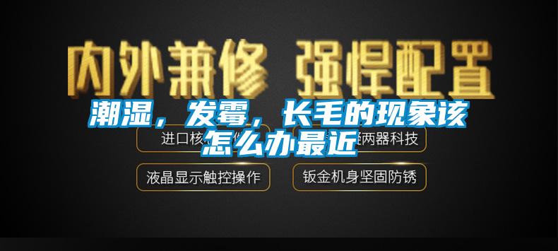 潮濕，發霉，長毛的現象該怎么辦最近