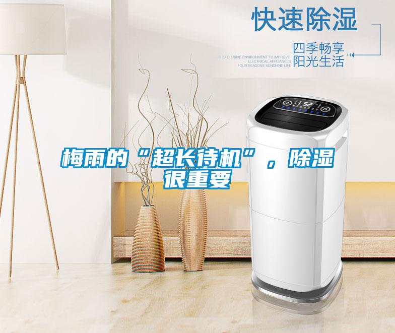 梅雨的“超長待機”，除濕很重要