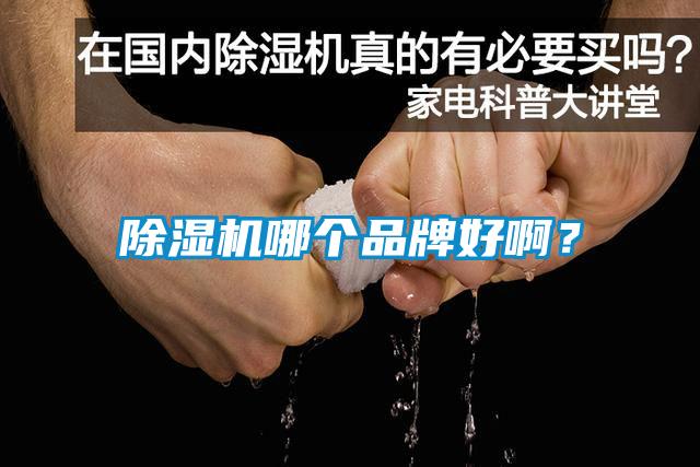 除濕機哪個品牌好啊?