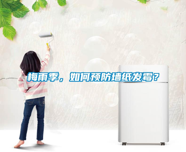 梅雨季，如何預(yù)防墻紙發(fā)霉？
