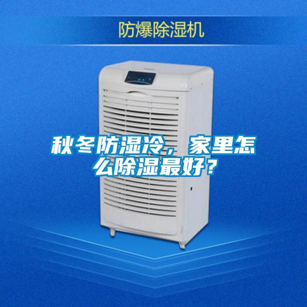 秋冬防濕冷，家里怎么除濕最好？