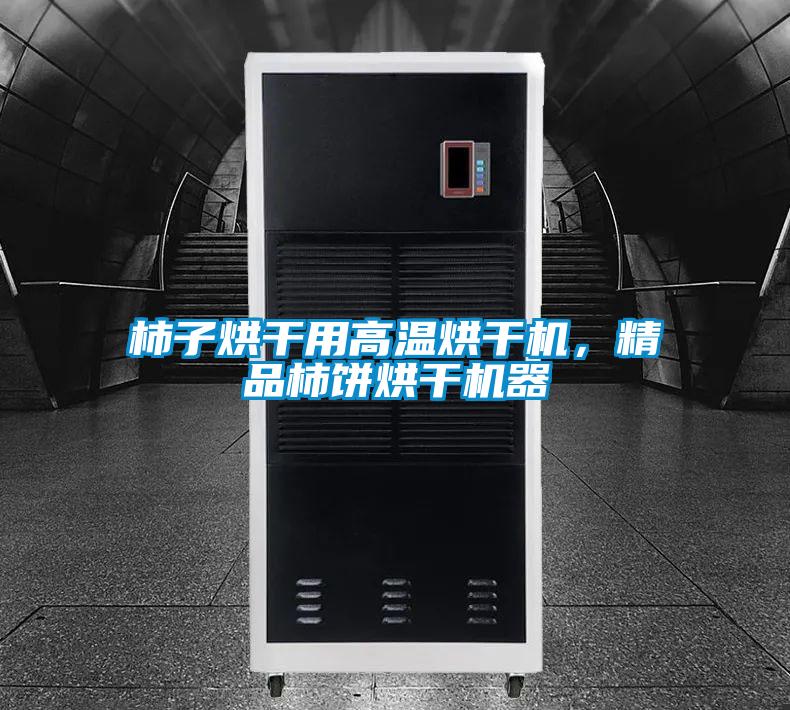柿子烘干用高溫烘干機(jī)，精品柿餅烘干機(jī)器
