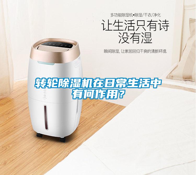 轉(zhuǎn)輪除濕機在日常生活中有何作用？