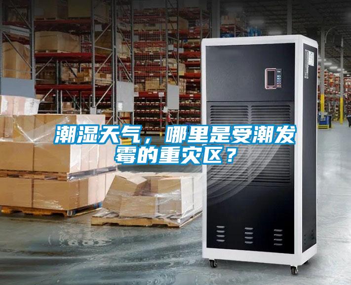 潮濕天氣，哪里是受潮發(fā)霉的重災(zāi)區(qū)？