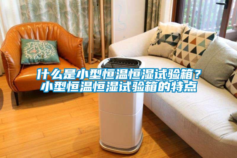 什么是小型恒溫恒濕試驗箱？小型恒溫恒濕試驗箱的特點