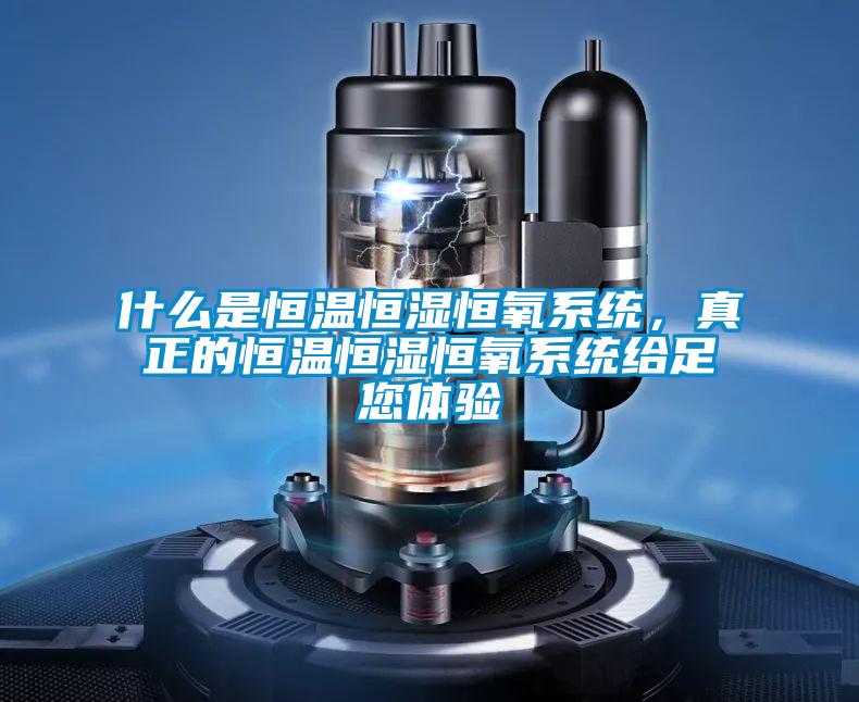 什么是恒溫恒濕恒氧系統，真正的恒溫恒濕恒氧系統給足您體驗