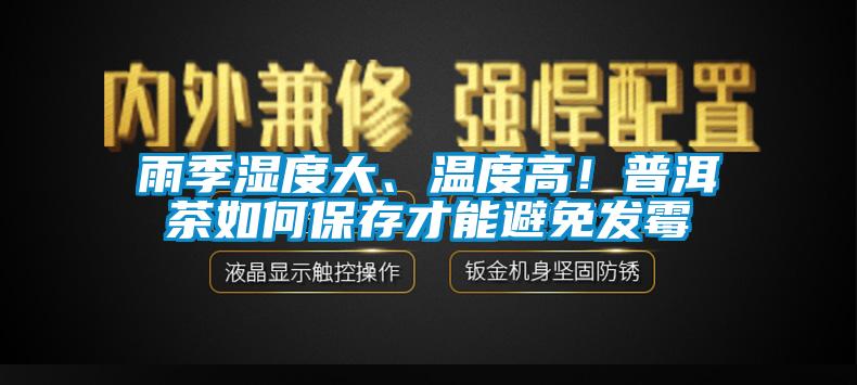 雨季濕度大、溫度高！普洱茶如何保存才能避免發霉