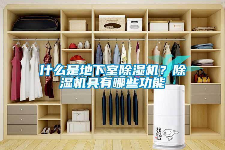 什么是地下室除濕機？除濕機具有哪些功能