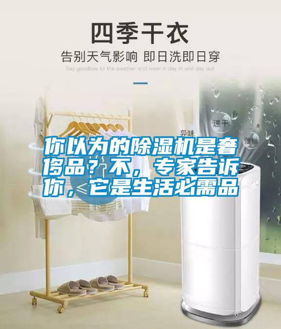 你以為的除濕機是奢侈品？不，專家告訴你，它是生活必需品