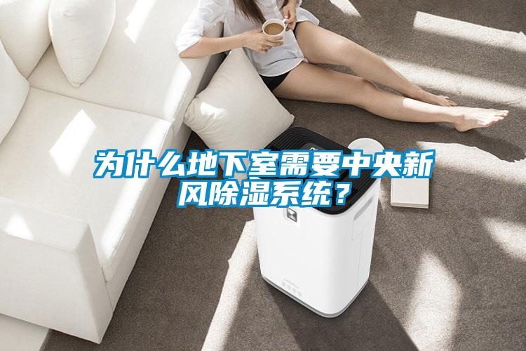 為什么地下室需要中央新風除濕系統？
