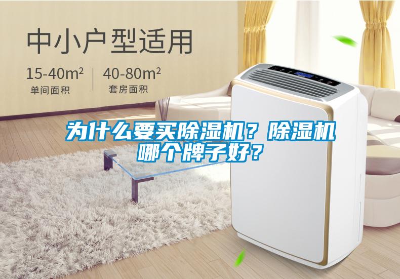 為什么要買除濕機？除濕機哪個牌子好？