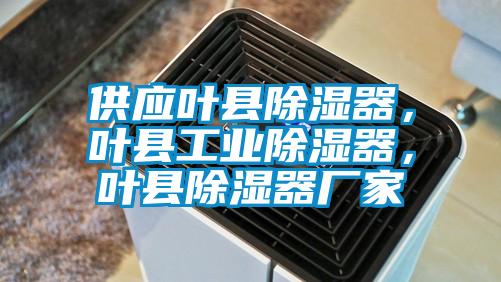 供應葉縣除濕器，葉縣工業除濕器，葉縣除濕器廠家