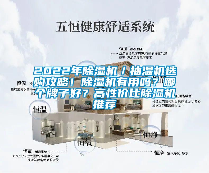 2022年除濕機／抽濕機選購攻略！除濕機有用嗎？哪個牌子好？高性價比除濕機推薦