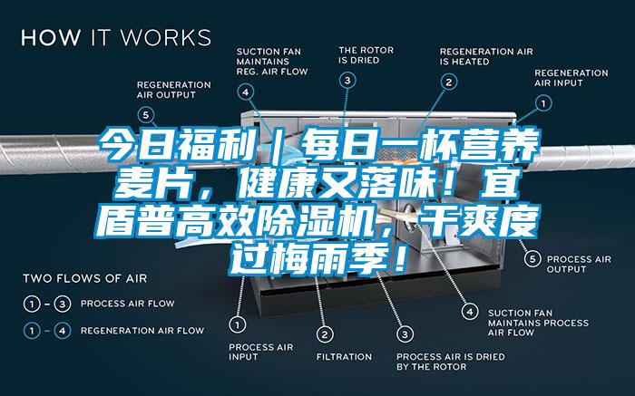 今日福利｜每日一杯營養麥片，健康又落味！宜盾普高效除濕機，干爽度過梅雨季！