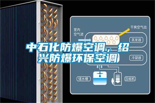 中石化防爆空調(diào)，紹興防爆環(huán)?？照{(diào)