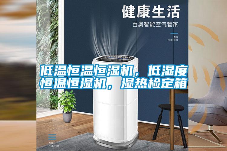 低溫恒溫恒濕機(jī)，低濕度恒溫恒濕機(jī)，濕熱檢定箱
