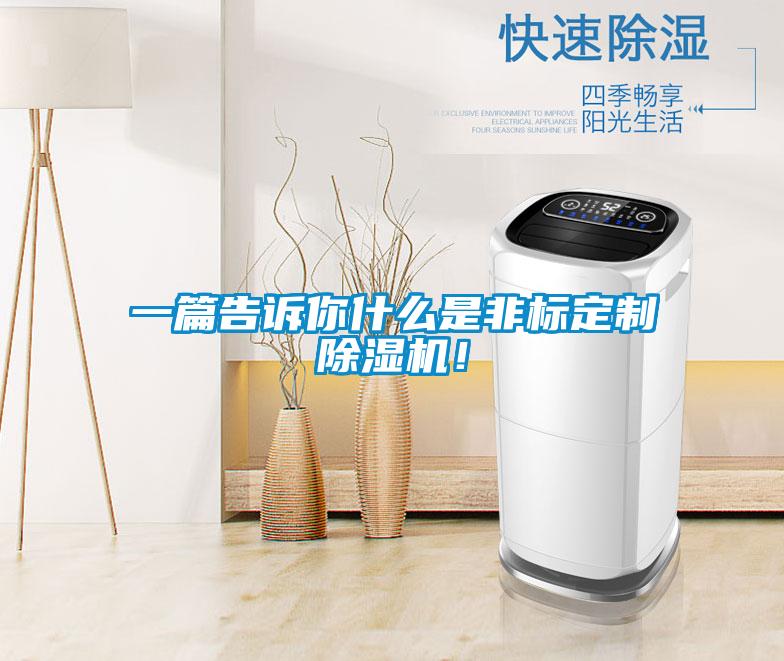 一篇告訴你什么是非標定制除濕機！
