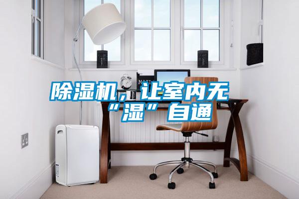 除濕機，讓室內(nèi)無“濕”自通