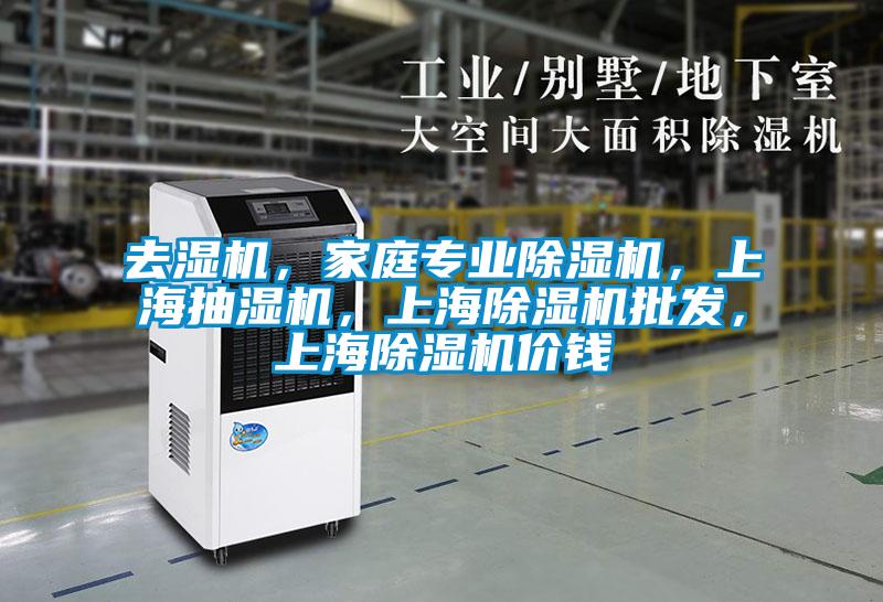 去濕機(jī)，家庭專業(yè)除濕機(jī)，上海抽濕機(jī)，上海除濕機(jī)批發(fā)，上海除濕機(jī)價錢