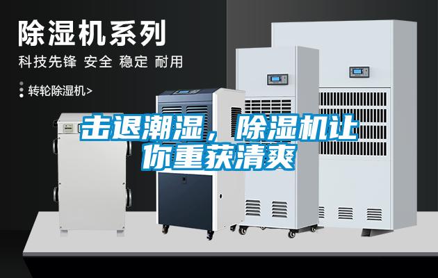 擊退潮濕，除濕機(jī)讓你重獲清爽