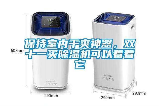 保持室內干爽神器，雙十一買除濕機可以看看它