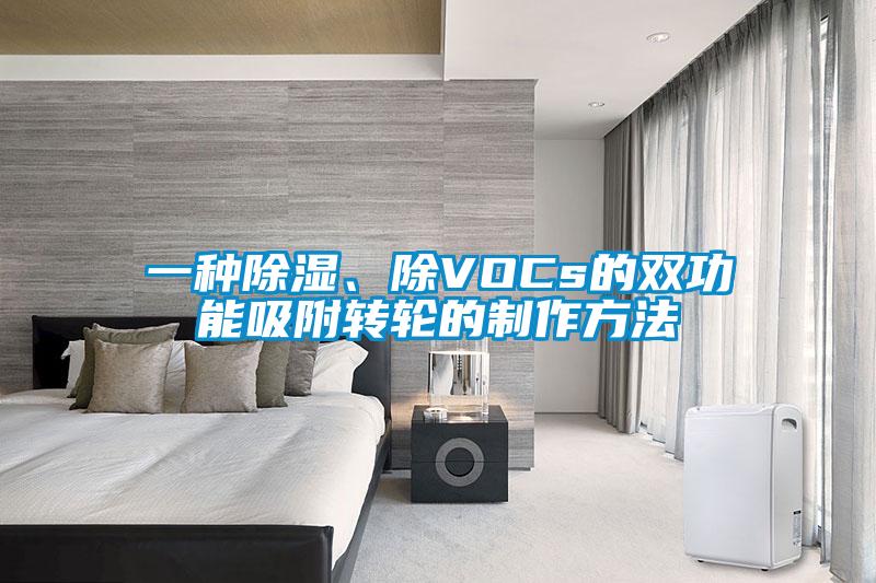 一種除濕、除VOCs的雙功能吸附轉輪的制作方法