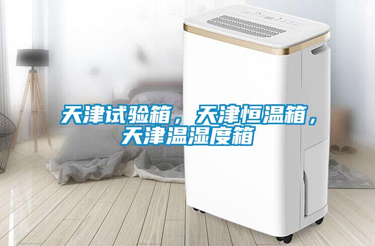 天津試驗箱，天津恒溫箱，天津溫濕度箱