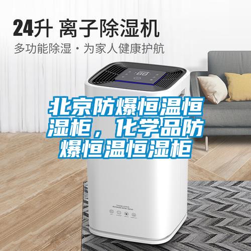 北京防爆恒溫恒濕柜，化學(xué)品防爆恒溫恒濕柜