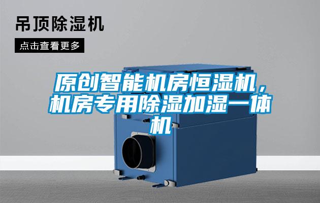 原創智能機房恒濕機，機房專用除濕加濕一體機