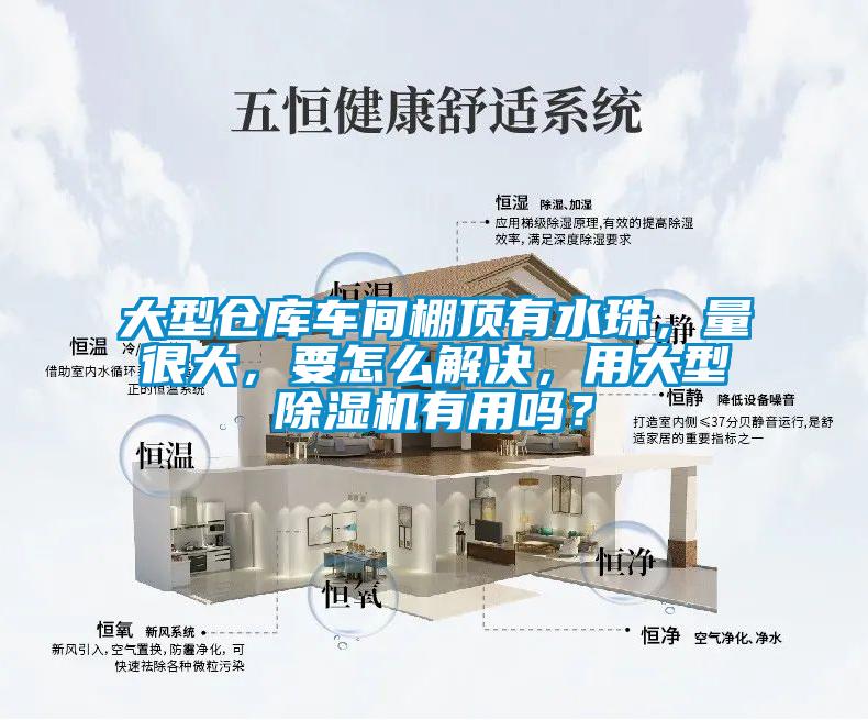 大型倉庫車間棚頂有水珠，量很大，要怎么解決，用大型除濕機有用嗎？
