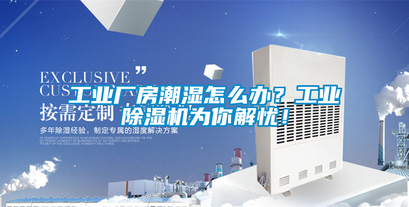 工業廠房潮濕怎么辦？工業除濕機為你解憂！