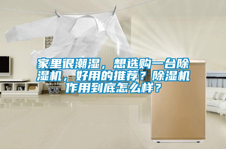 家里很潮濕，想選購一臺除濕機(jī)，好用的推薦？除濕機(jī)作用到底怎么樣？