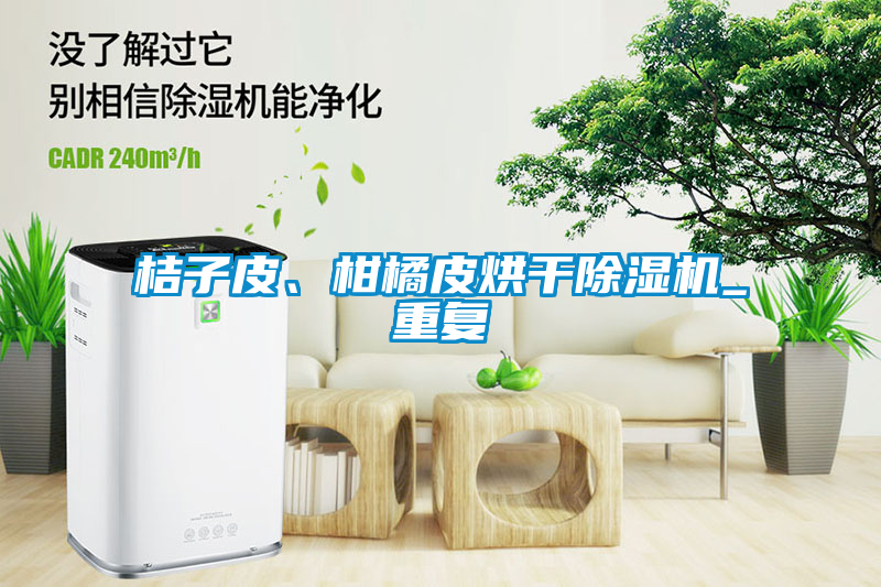 桔子皮、柑橘皮烘干除濕機_重復(fù)