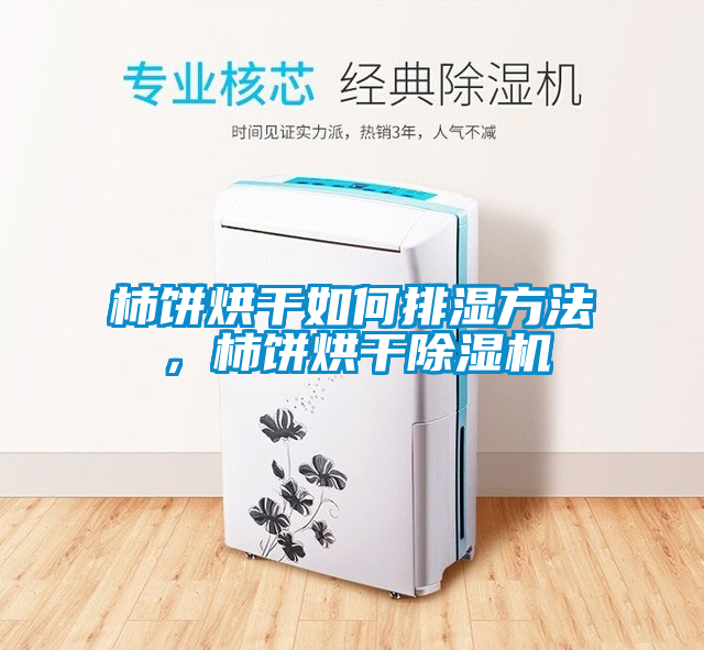 柿餅烘干如何排濕方法，柿餅烘干除濕機