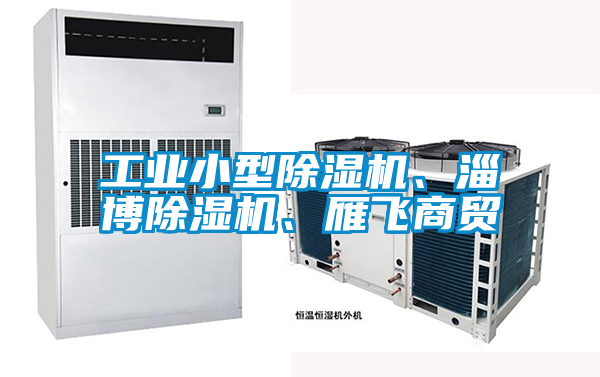 工業小型除濕機、淄博除濕機、雁飛商貿