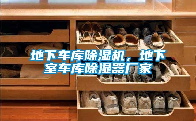 地下車庫除濕機，地下室車庫除濕器廠家