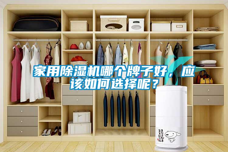家用除濕機哪個牌子好，應該如何選擇呢？