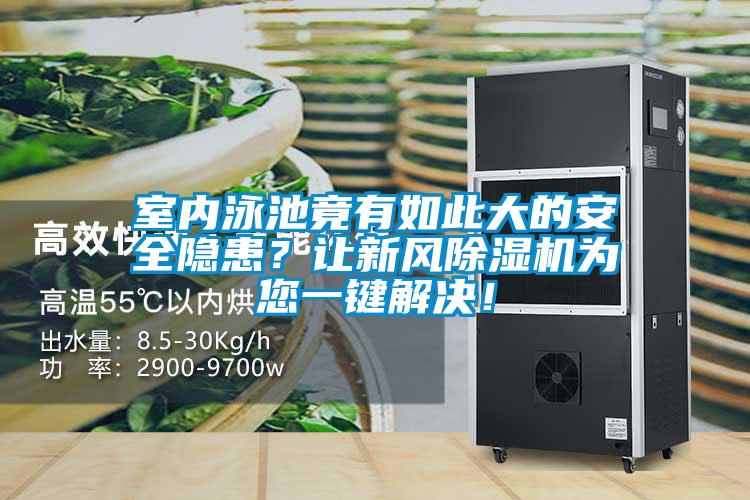 室內(nèi)泳池竟有如此大的安全隱患？讓新風(fēng)除濕機(jī)為您一鍵解決！