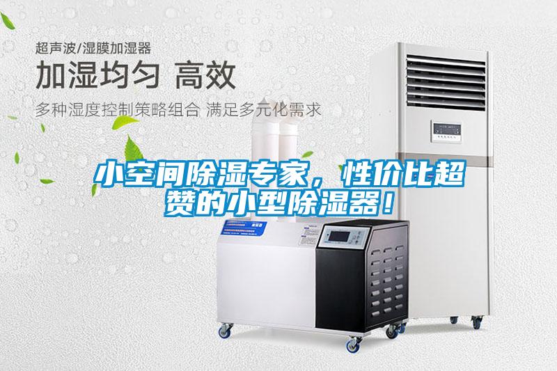 小空間除濕專家，性價比超贊的小型除濕器！