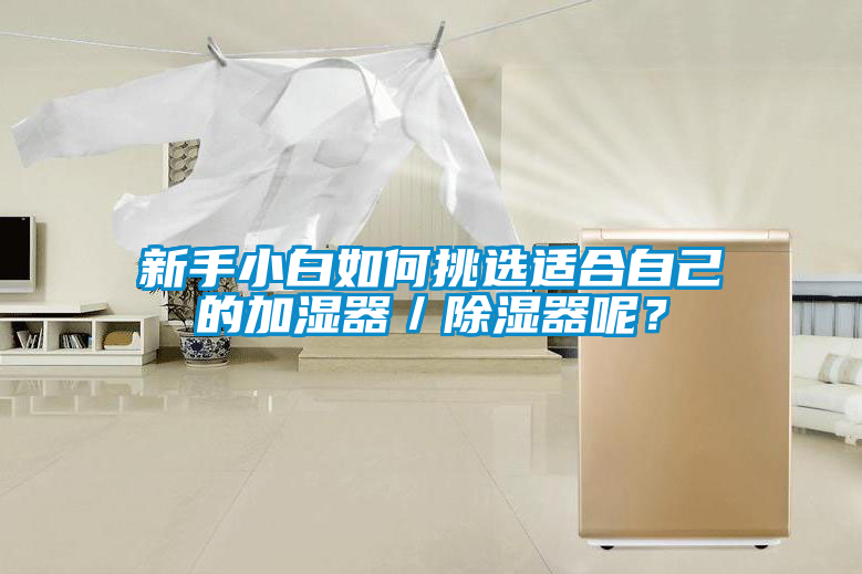 新手小白如何挑選適合自己的加濕器／除濕器呢？