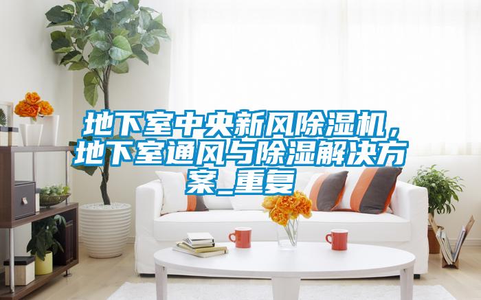 地下室中央新風除濕機，地下室通風與除濕解決方案_重復