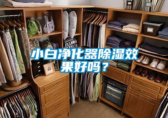 小白凈化器除濕效果好嗎？