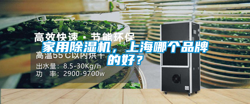 家用除濕機，上海哪個品牌的好？