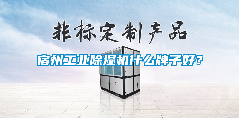 宿州工業(yè)除濕機(jī)什么牌子好？